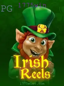 Explorando o Fascinante Mundo de IrishReels: Guia Completo e Atualizado